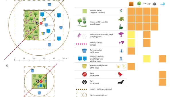 We cannot reduce the complexity of biodiversity but can share approaches for biodiversity sampling