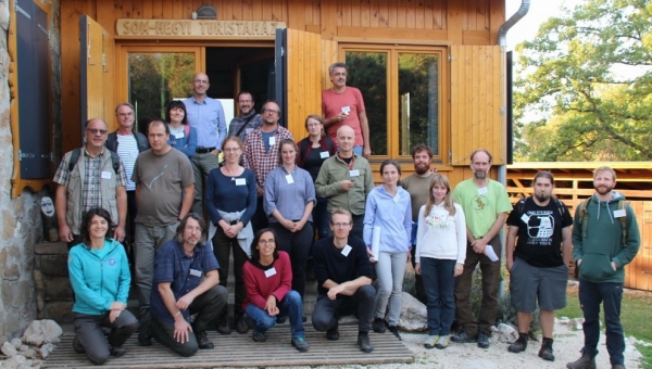 Researchers from 15 European forestry experiments hold a common brainstorming – at long last, face-to-face after the COVID-19