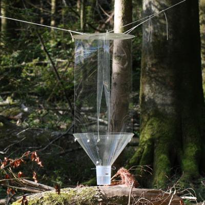 Flight Interception Trap For Beetles In Sihlwald Ch
