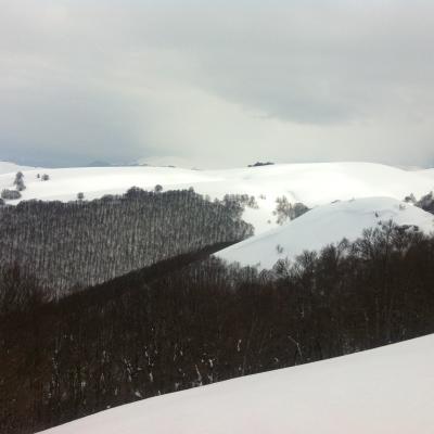 Beech Forest In Winter In Majella It