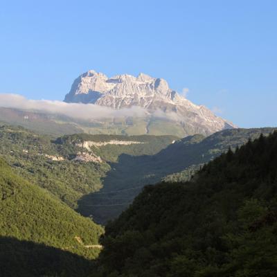 Beech Forest Under The Top Of The Gran Sasso It